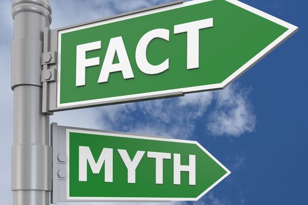 8 Myths About The Dentist 8 Myths About The Dentist